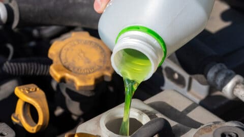 close up image of mechanic pouring Anti Freeze Coolant in vehicle Harmony Automotive Denver Aurora Centennial Greeley Colorado